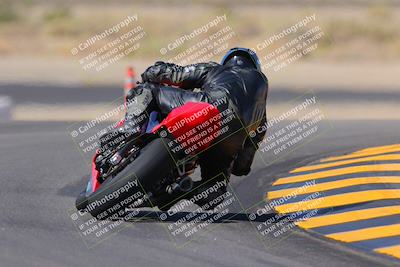 media/Oct-08-2022-SoCal Trackdays (Sat) [[1fc3beec89]]/Turn 11 Backside (1145am)/